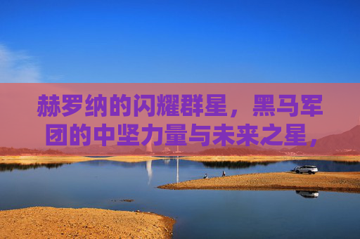 赫罗纳的闪耀群星,黑马军团的中坚力量与未来之星,赫罗纳闪耀群星,黑马军团的中坚与未来