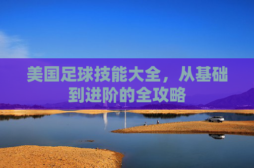 美国足球技能大全,从基础到进阶的全攻略