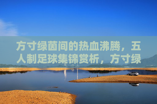 方寸绿茵间的热血沸腾,五人制足球集锦赏析,方寸绿茵热血沸,五人制足球集锦赏析