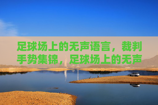 足球场上的无声语言，裁判手势集锦，足球场上的无声语言，裁判手势集锦