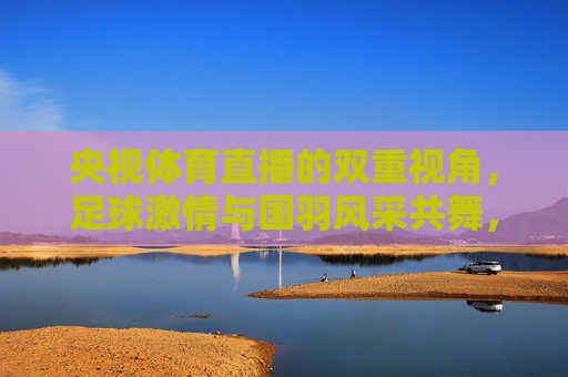 央视体育直播的双重视角,足球激情与国羽风采共舞,央视体育直播双重视角,足球激情与国羽风采共舞