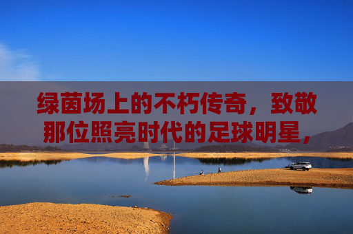 绿茵场上的不朽传奇,致敬那位照亮时代的足球明星,绿茵不朽传奇,照亮时代的足球星辰