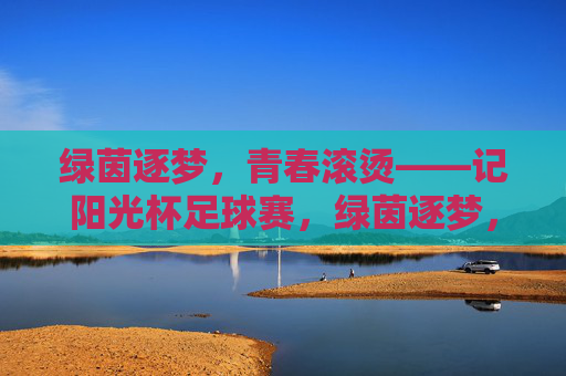绿茵逐梦，青春滚烫——记阳光杯足球赛，绿茵逐梦，青春滚烫——阳光杯足球赛