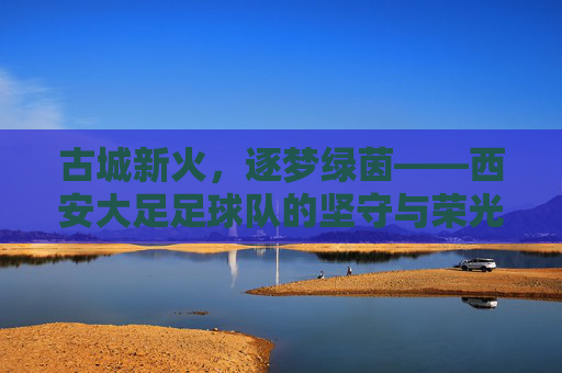 古城新火，逐梦绿茵——西安大足足球队的坚守与荣光，古城新火逐梦绿茵，西安大足坚守荣光