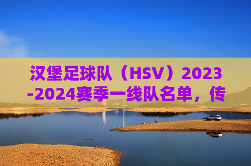 汉堡足球队（HSV）2023-2024赛季一线队名单，传承与活力的交织，汉堡HSV 2023-2024赛季一线队名单，传承与活力的交织