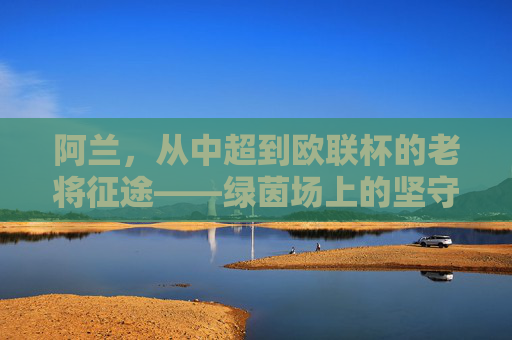 阿兰,从中超到欧联杯的老将征途——绿茵场上的坚守与跨越,老将阿兰,中超到欧联杯的坚守与跨越