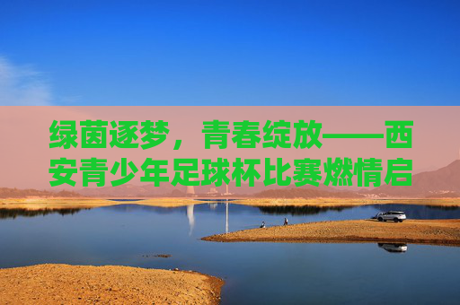 绿茵逐梦,青春绽放——西安青少年足球杯比赛燃情启幕,绿茵逐梦,青春绽放,西安青少年足球杯燃情启幕