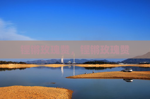 铿锵玫瑰赞,铿锵玫瑰赞
