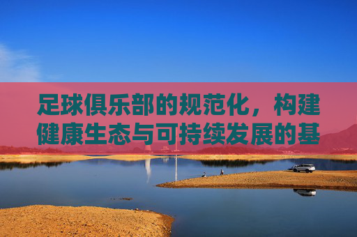 足球俱乐部的规范化,构建健康生态与可持续发展的基石,规范化,足球俱乐部健康生态与可持续发展的基石