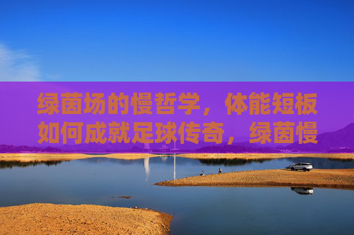 绿茵场的慢哲学,体能短板如何成就足球传奇,绿茵慢哲学,体能短板成就传奇