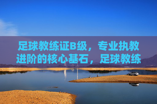 足球教练证B级,专业执教进阶的核心基石,足球教练证B级,专业执教进阶的核心基石