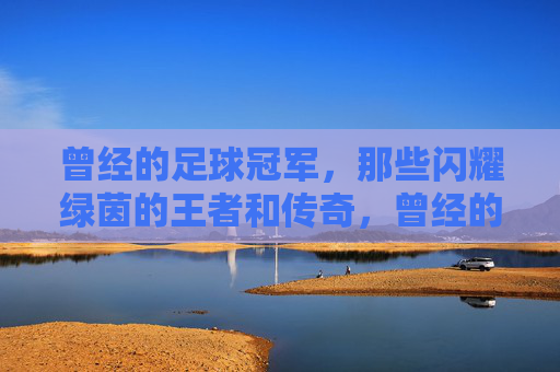 曾经的足球冠军,那些闪耀绿茵的王者和传奇,曾经的足球冠军,闪耀绿茵的王者传奇