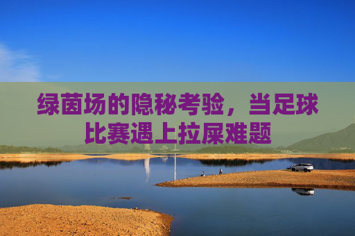 绿茵场的隐秘考验,当足球比赛遇上拉屎难题