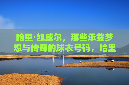 哈里·凯威尔,那些承载梦想与传奇的球衣号码,哈里·凯威尔,球衣号码上的梦想与传奇