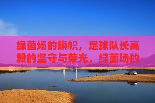 绿茵场的旗帜,足球队长高毅的坚守与荣光,绿茵场的旗帜,高毅的坚守与荣光