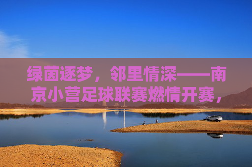 绿茵逐梦，邻里情深——南京小营足球联赛燃情开赛，南京小营邻里足球联赛燃情开赛
