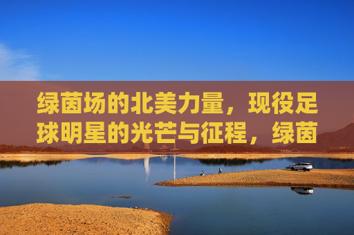 绿茵场的北美力量,现役足球明星的光芒与征程,绿茵北美,现役球星的光芒征程