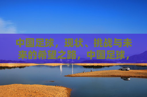中国足球,现状、挑战与未来的希望之路,中国足球,现状、挑战与未来希望之路