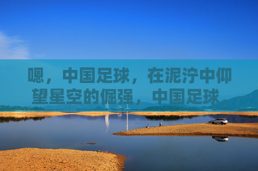 嗯，中国足球，在泥泞中仰望星空的倔强，中国足球，泥泞中仰望星空的倔强