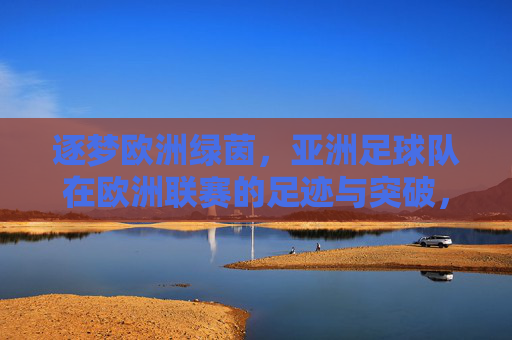 逐梦欧洲绿茵,亚洲足球队在欧洲联赛的足迹与突破,逐梦欧洲绿茵,亚洲足球队的足迹与突破