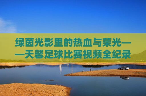 绿茵光影里的热血与荣光——天馨足球比赛视频全纪录,天馨足球,绿茵光影里的热血荣光