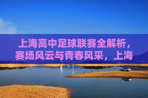 上海高中足球联赛全解析,赛场风云与青春风采,上海高中足球联赛,赛场风云映青春风采