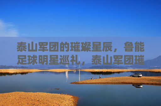 泰山军团的璀璨星辰，鲁能足球明星巡礼，泰山军团璀璨星辰，鲁能足球明星巡礼