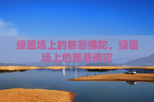 绿茵场上的慈悲佛陀，绿茵场上的慈悲佛陀