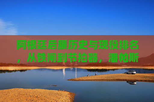 阿根廷后腰历史与现役排名，从铁闸到节拍器，潘帕斯的钢铁脊梁，阿根廷后腰历史现役排名，铁闸到节拍器的钢铁脊梁