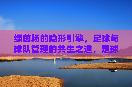 绿茵场的隐形引擎,足球与球队管理的共生之道,足球与球队管理的共生,绿茵场的隐形引擎