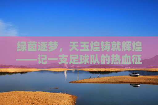 绿茵逐梦，天玉煌铸就辉煌——记一支足球队的热血征程，天玉煌逐梦绿茵铸辉煌