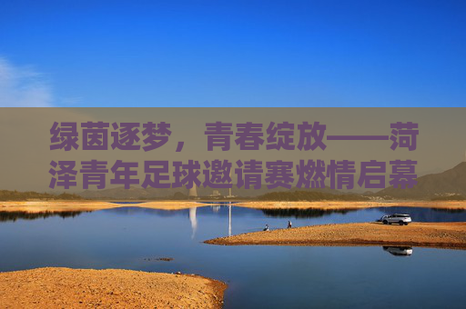 绿茵逐梦，青春绽放——菏泽青年足球邀请赛燃情启幕，菏泽青年足球邀请赛，绿茵逐梦，青春绽放
