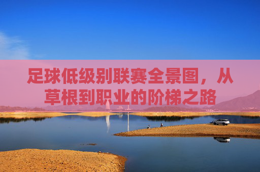 足球低级别联赛全景图,从草根到职业的阶梯之路