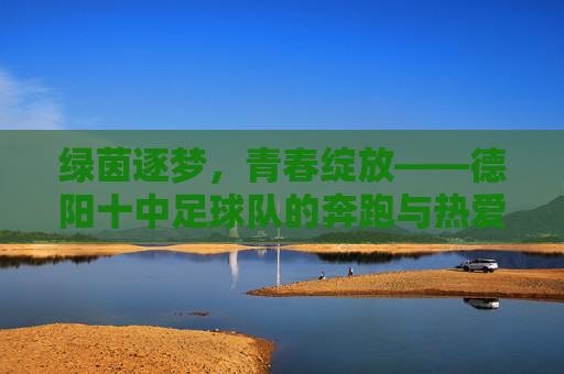 绿茵逐梦，青春绽放——德阳十中足球队的奔跑与热爱，绿茵逐梦，青春奔跑——德阳十中足球队的热爱