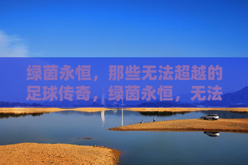 绿茵永恒，那些无法超越的足球传奇，绿茵永恒，无法超越的足球传奇