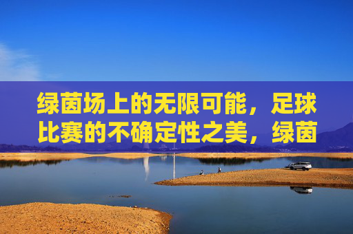 绿茵场上的无限可能，足球比赛的不确定性之美，绿茵场上的无限可能，足球比赛的不确定性之美