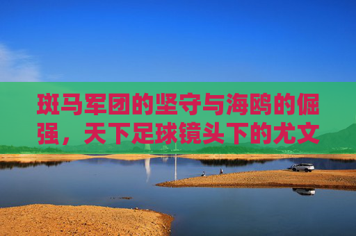 斑马军团的坚守与海鸥的倔强，天下足球镜头下的尤文图斯vs热那亚，斑马坚守对海鸥倔强，天下足球镜头下的尤文图斯vs热那亚