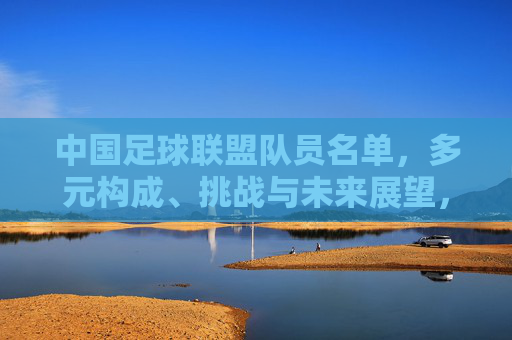 中国足球联盟队员名单,多元构成、挑战与未来展望,中国足球联盟队员名单,多元构成、挑战与未来展望