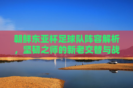 朝鲜东亚杯足球队阵容解析,坚韧之师的新老交替与战术坚守,朝鲜东亚杯,坚韧之师的新老交替与战术坚守