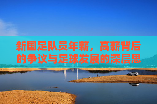 新国足队员年薪,高薪背后的争议与足球发展的深层思考,新国足高薪争议,足球发展的深层思考