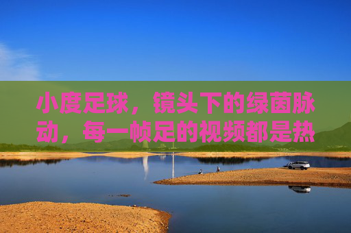 小度足球,镜头下的绿茵脉动,每一帧足的视频都是热血回响,小度足球,帧帧热血,镜头下的绿茵脉动