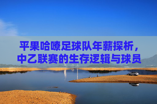 平果哈嘹足球队年薪探析,中乙联赛的生存逻辑与球员价值,平果哈嘹足球队年薪探析,中乙联赛生存逻辑与球员价值