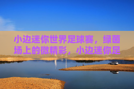 小边迷你世界足球赛,绿茵场上的微精彩,小边迷你足球赛,绿茵微精彩