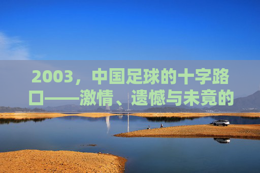 2003，中国足球的十字路口——激情、遗憾与未竟的征途，2003，中国足球的十字路口——激情、遗憾与未竟的征途