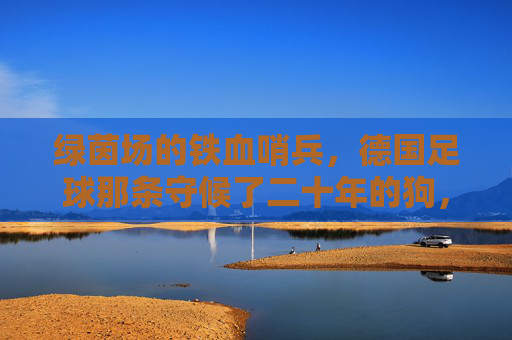 绿茵场的铁血哨兵,德国足球那条守候了二十年的狗,绿茵铁血哨兵,德国足球二十年的忠诚守候