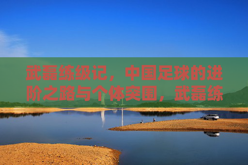 武磊练级记,中国足球的进阶之路与个体突围,武磊练级记,中国足球进阶与个体突围