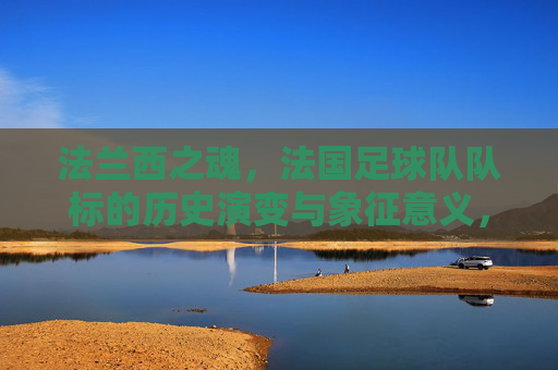 法兰西之魂,法国足球队队标的历史演变与象征意义,法兰西之魂,法国足球队标的历史演变与象征