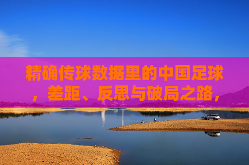 精确传球数据里的中国足球，差距、反思与破局之路，数据透视中国足球，传球差距、反思与破局之路