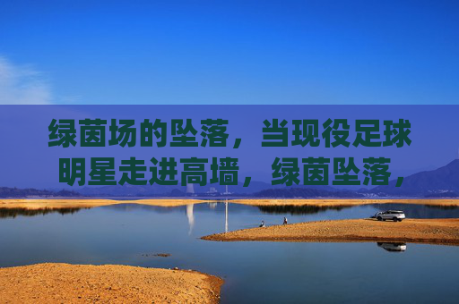 绿茵场的坠落,当现役足球明星走进高墙,绿茵坠落,现役球星走进高墙