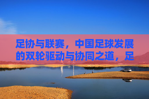 足协与联赛，中国足球发展的双轮驱动与协同之道，足协与联赛，中国足球发展的双轮协同之道